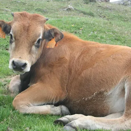 Valle De Bueida, Jacuzzi Solo En Casas El El Palacio Y Viscárcel *