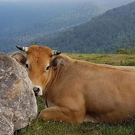Valle De Bueida, Jacuzzi Solo En Casas El El Palacio Y Viscárcel * Bárzana