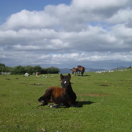 Valle De Bueida, Jacuzzi Solo En Casas El El Palacio Y Viscarcel * Bárzana